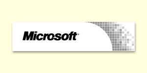 microsoft works logo